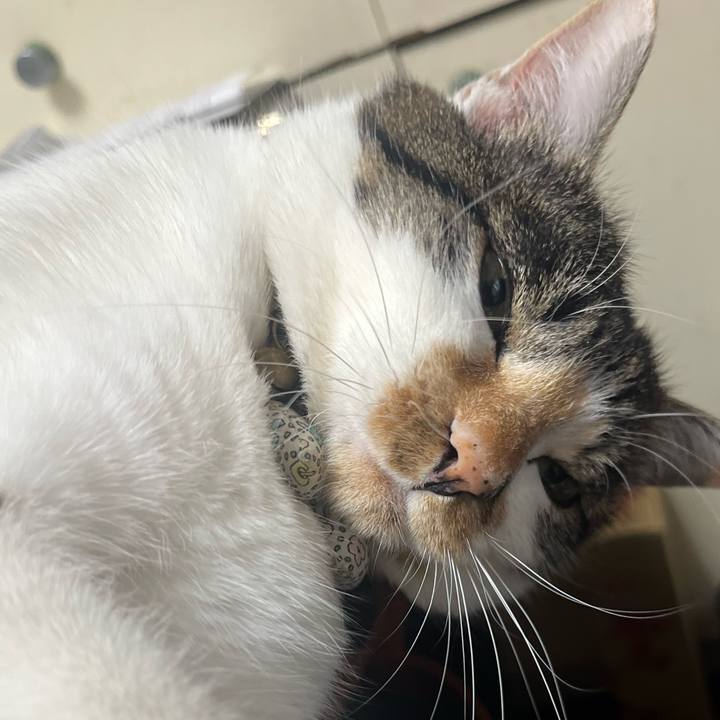 9e98f1d1 b203 46aa 97ee 6cf90950fea6 1768453140275