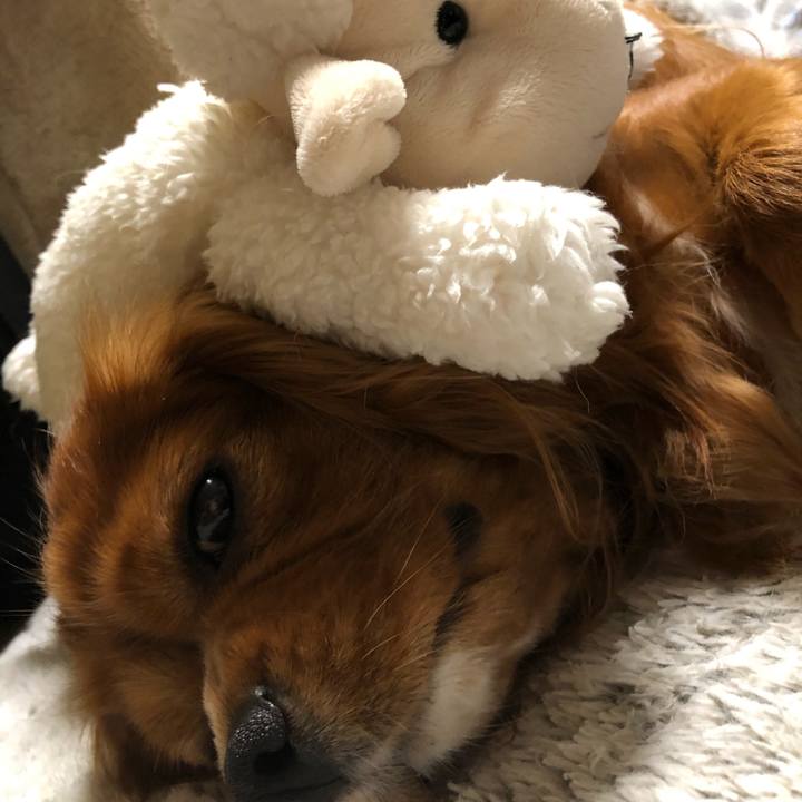 9e98f63c 163f 4bca a2ee 541aaba409ab 1584188964448