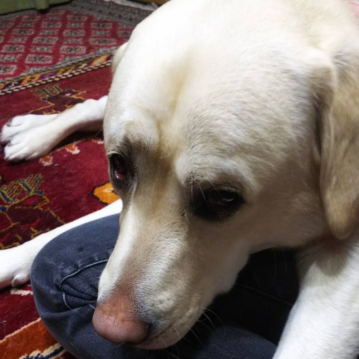 9e993848 89f9 4223 badc bd6aea12ec09 1584270121495