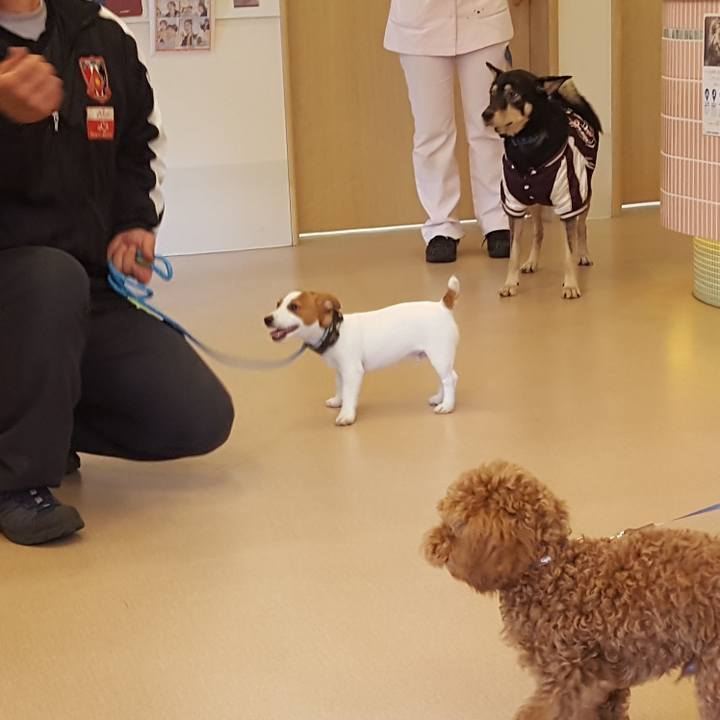 9e993b4a 30d0 410e a3bc 8b1f806f4f85 1552112948311