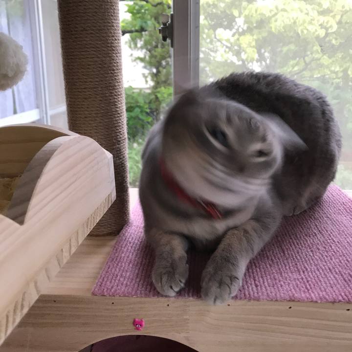 9e993e6c 6d78 4787 b207 f8bce6042bc1 1591310461618