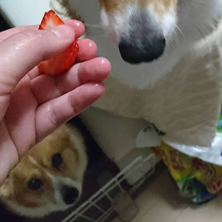 9e99720a d4df 4b7b b945 170d46c16a92 1554554618245