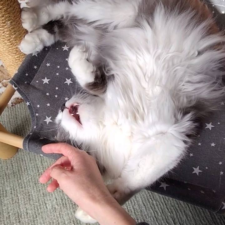 9e99bebc 6113 48c8 85b0 2ed38723e4ac 1739080677754