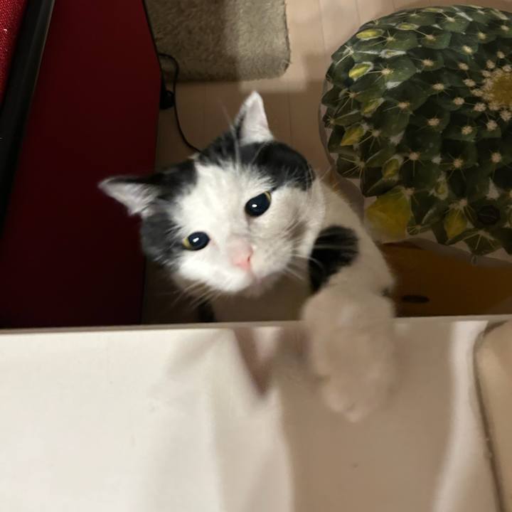 9e99c55e 5b13 4f9e 84e8 4d9a77ff299c 1772492164266