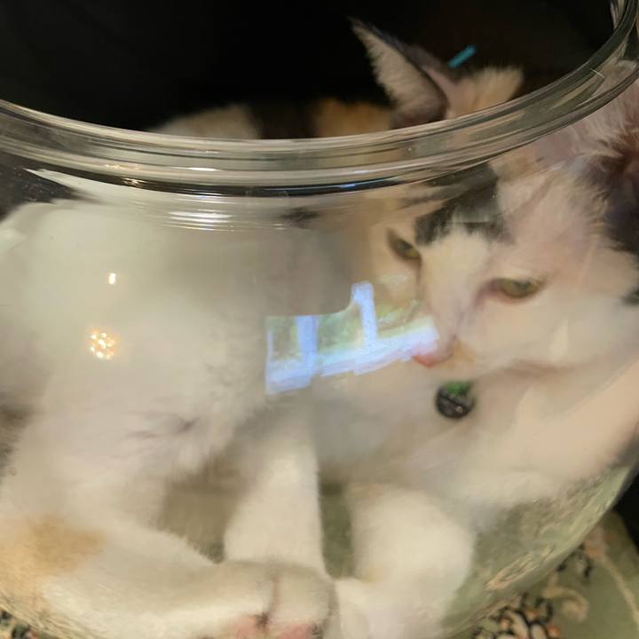 9e9a0862 d640 485a 8569 0eeec4a58819 1728306663368