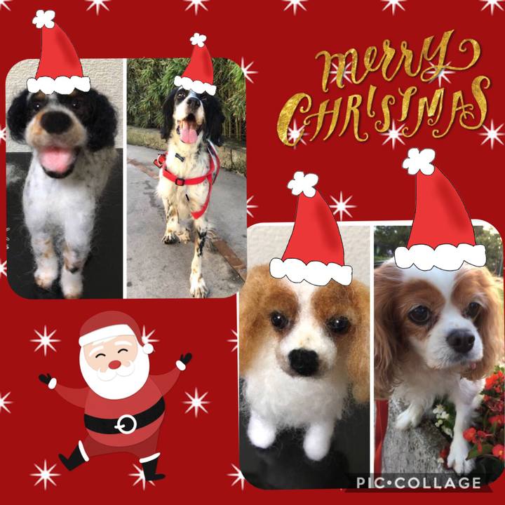 9e9a3e73 e10a 452b afbb 4f54ed9a2187 1545231321227