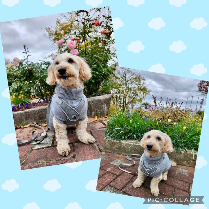 9e9a42fc dd3c 4d7f b680 b556105cd12f 1764730512191