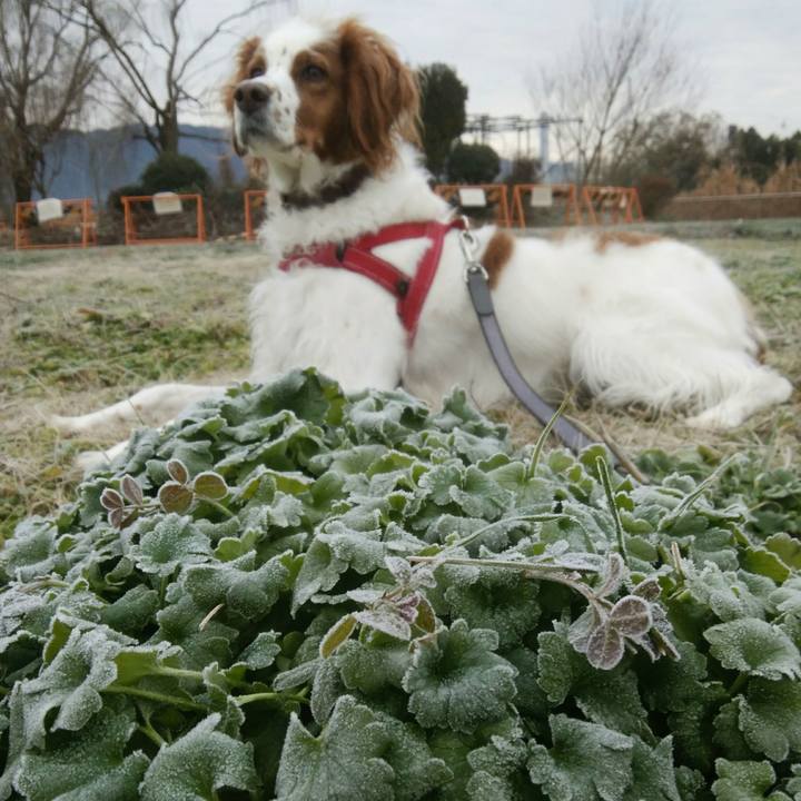 9e9a58d2 c7e3 4183 906d b2d9fd37d50f 1547096522640