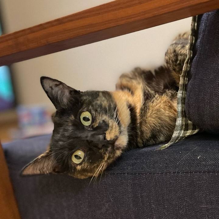 9e9a7979 c5e8 4175 9d8e f8c9942b5076 1724072741142