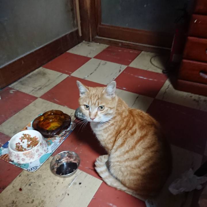 9e9a8f46 05bf 4b2d ac29 4d5203df8fdd 1585385702121