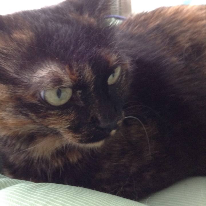 9e9ac47e 8ca5 4694 932c 5d4fd2598a52 1525218130962