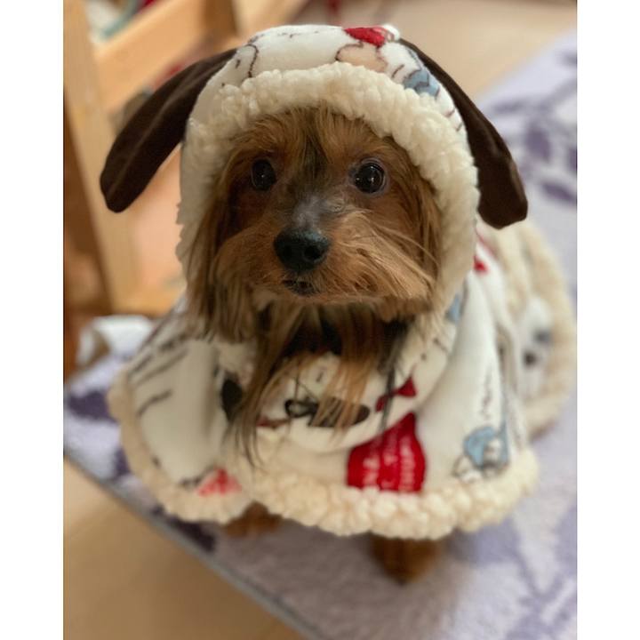 9e9acd2b ee4c 4c0e a50c 7bac5c74f72b 1545113162847