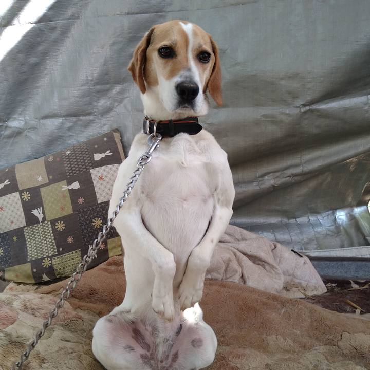 9e9ae8bd 5526 44fb bdb7 7c775598fc84 1652766475342