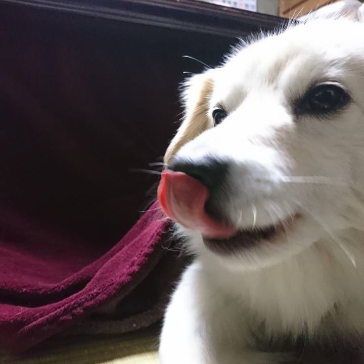 9e9b0dac bf43 4b1a 835f cc53b810fe7f 1553170173852