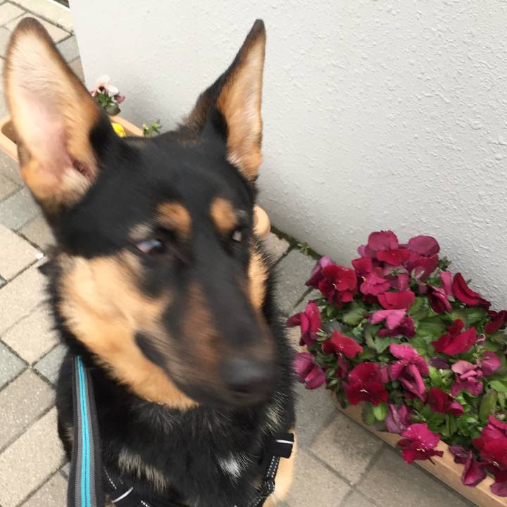 9e9b43eb 2f58 4a90 9fed fde8ab1de057 1520378535994