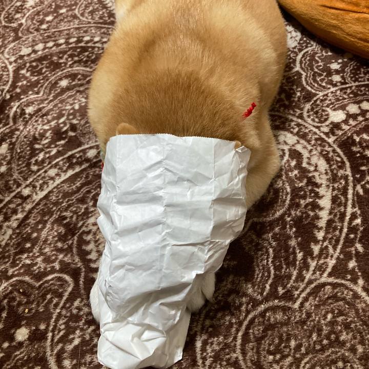 9e9b5672 ccdb 499d b3a6 cb2730e0d7a7 1616577638888