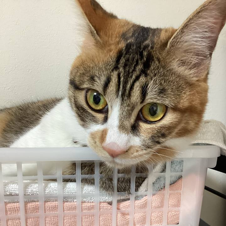 9e9b62ed 0a8d 4c76 912a 24228d9cf08d 1648979429254