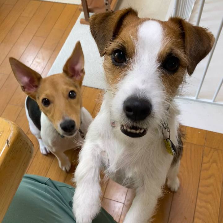 9e9b7230 6335 4248 8ca1 3be76d510ebf 1762159433541