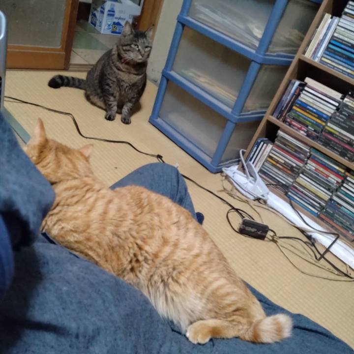 9e9b874c 54f8 44d7 b74c f427baa91e1e 1682504242050