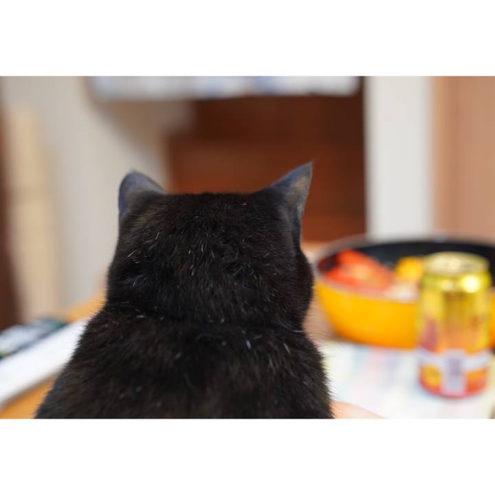 9e9bbfdf 9a38 451a b7f2 294ec0324f89 1628515864864