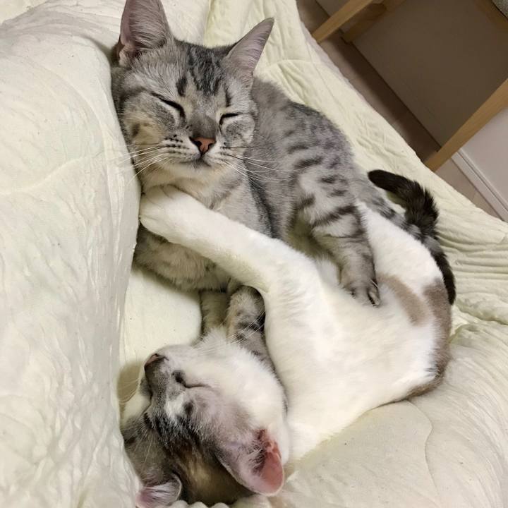 9e9bc3a1 b112 41b8 a2d1 d9bd76bdf709 1525612577180