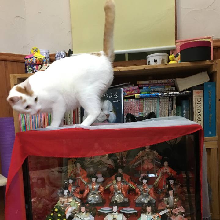 9e9bd533 49f2 49a6 b2b6 551e0a2d020b 1520029221922