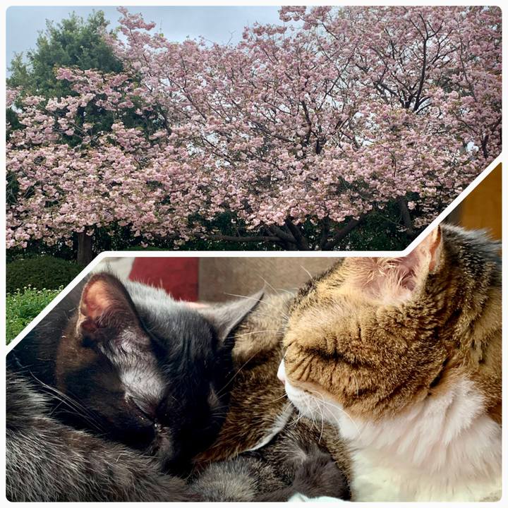 9e9c2ca9 9c74 42b1 8495 e810413545da 1649763166209