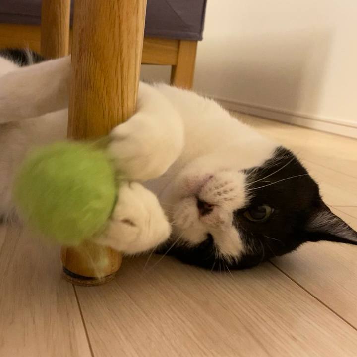 9e9c4781 f926 4455 8ec7 be454d02887a 1727442938561