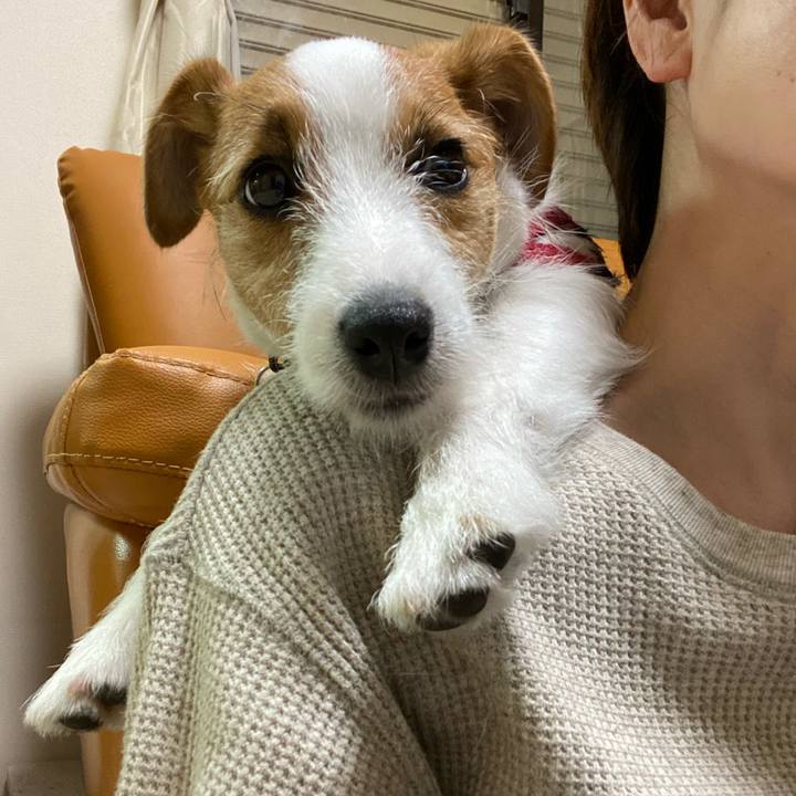 9e9c47e6 df4a 4200 8b2e d0042847eb82 1619850426641