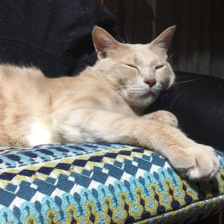 9e9c4abf b286 4723 8bab 0379104c67bc 1559739747129