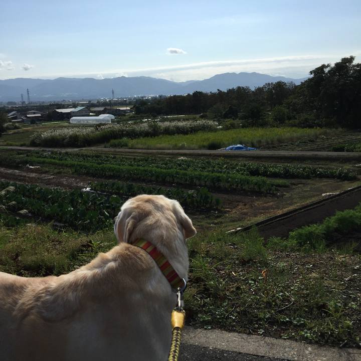 9e9c7f3a daaa 4243 9bbb 7d97bc3715d1 1539047126434