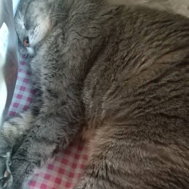 9e9ca085 a09c 4ca7 9f1d ceef43ac0305 1664079326485