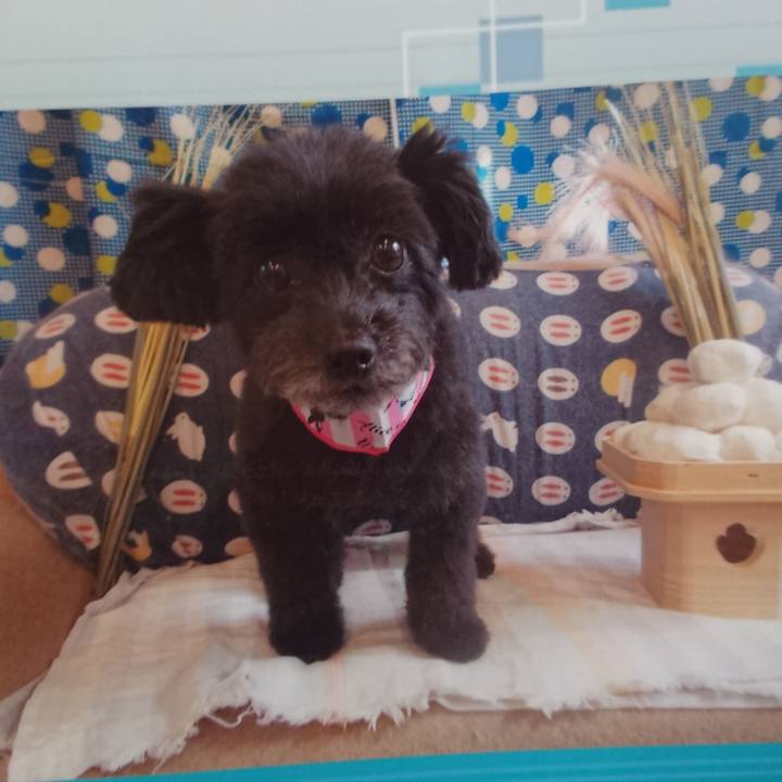 9e9cfff0 be84 4298 8197 d5037c95f6fe 1535267991568