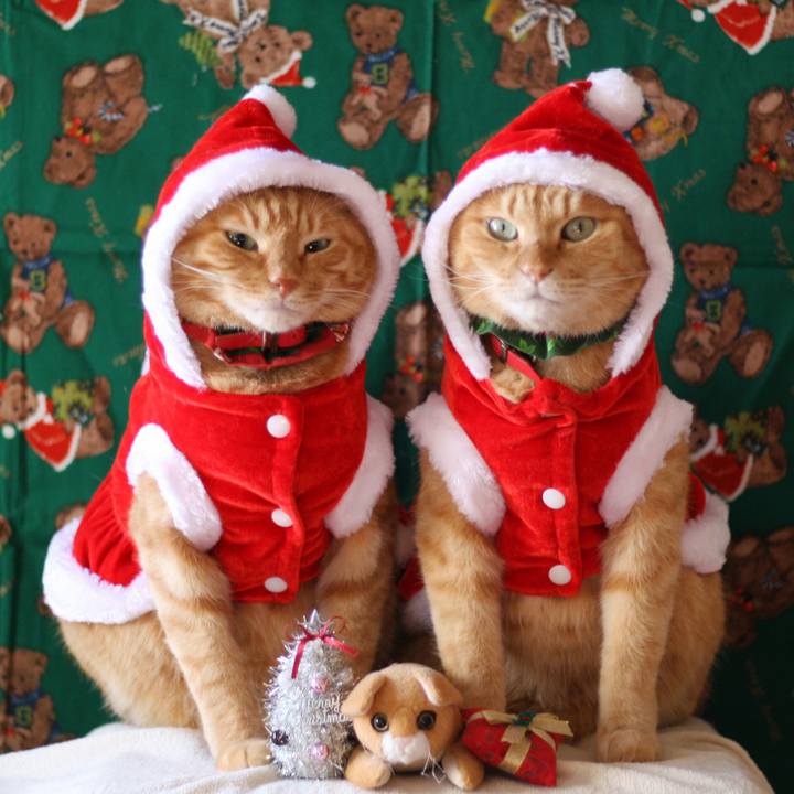 9e9d3035 e45e 47ae 9080 8dd0db26d756 1514042658472