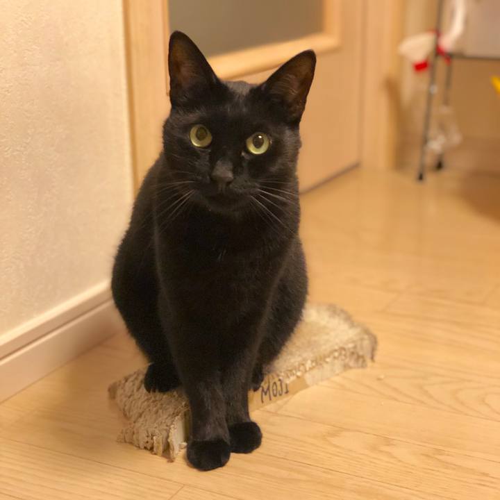 9e9d8261 2a3a 48e6 94fe 80beabd59b41 1572778743863