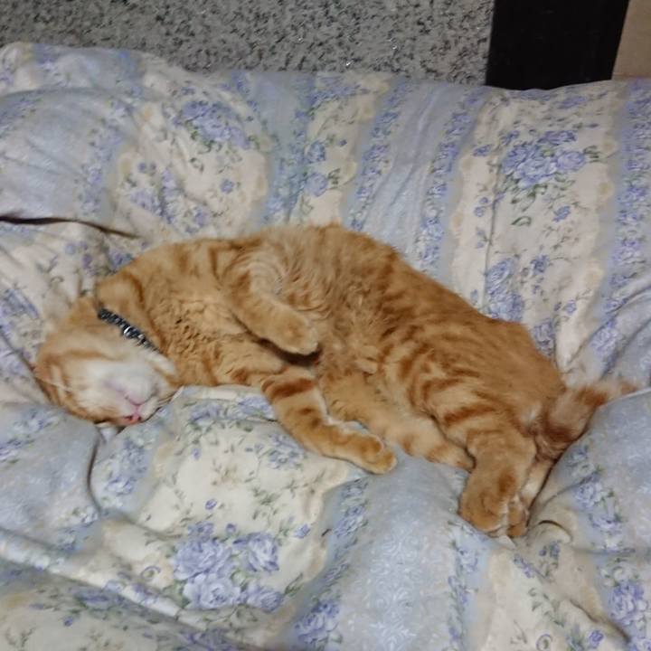 9e9dbfd3 7f99 49a3 8a5f bb2721320e80 1662985258154