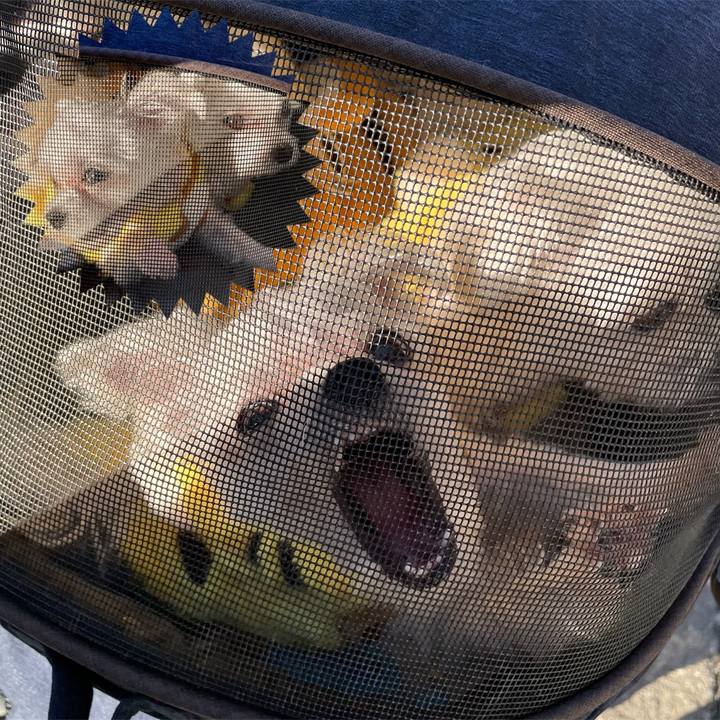 9e9dd4ac bedd 4386 b643 808c799c8d08 1641635677521