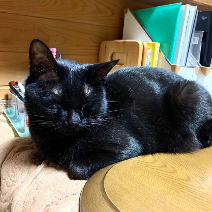 9e9e45f1 0100 4203 9ccd 8765630f4c9c 1586778427002