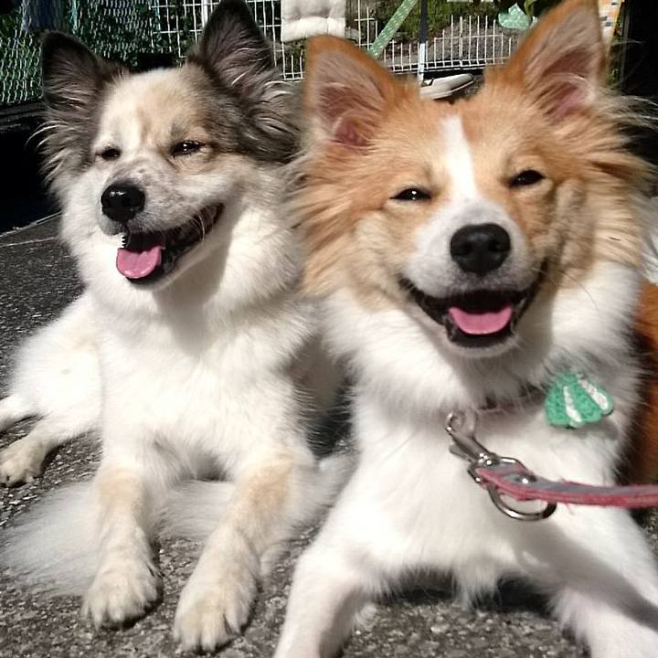 9e9e80b9 e2d5 4055 8abe 2473740bcfcd 1508751574783