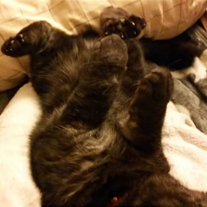 9e9ee51f 85a5 4d4d 8b04 6bc5e19a2fd3 1522592311595