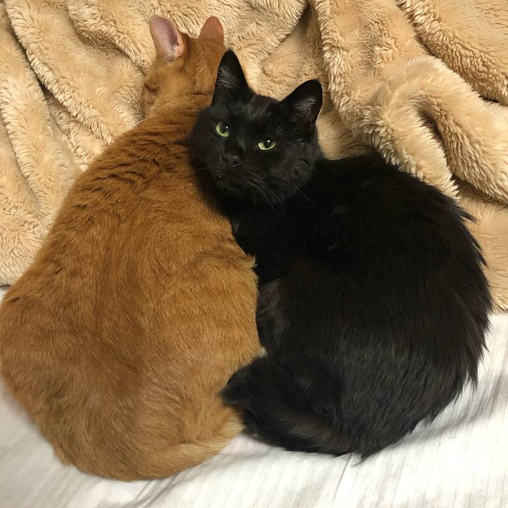 9e9ef3d2 56b3 47db a4a3 30e8506e5a58 1583143238863