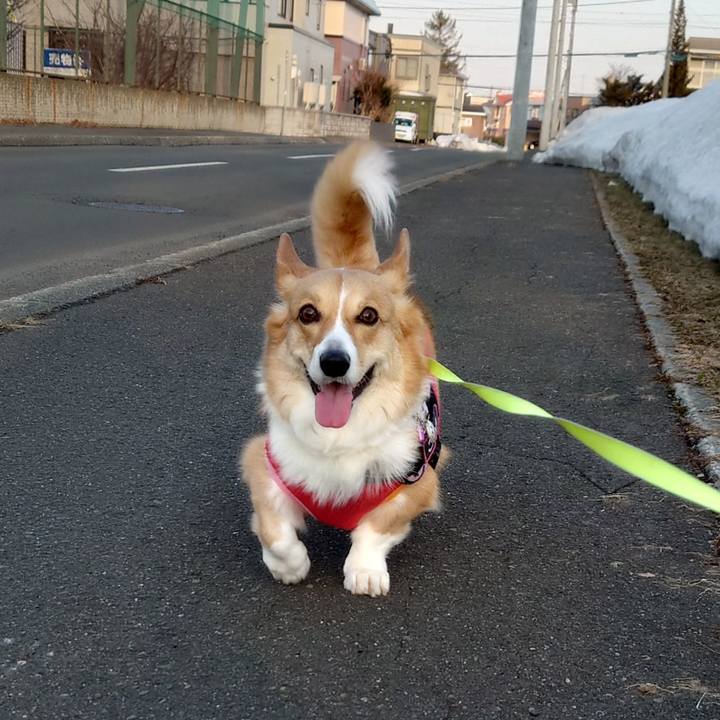 9e9f2637 f577 4305 a45e dd4db62fabf7 1773618260252