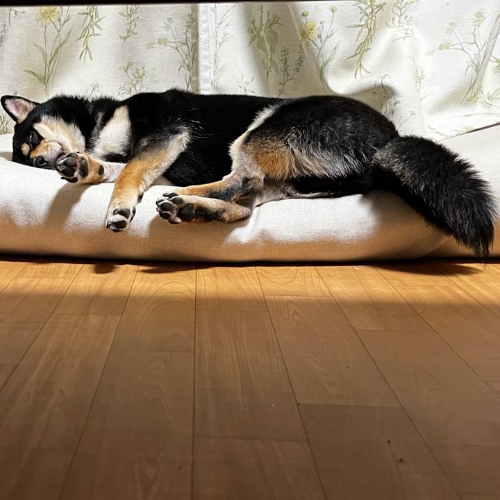 9e9f2d3d 1c6b 4606 a320 0a952bfee80a 1692584109915