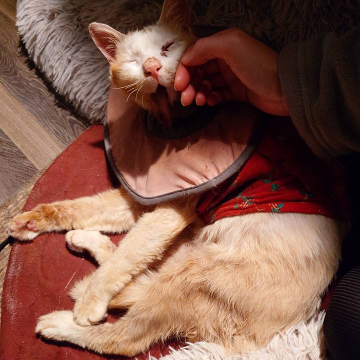 9e9f3142 843f 4006 9495 b6333d71625d 1767611244679