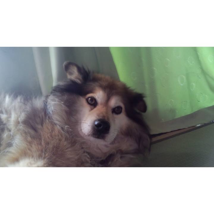 9e9f5dff a1fb 43cd 992b fd36dcf4db9f 1555057880006