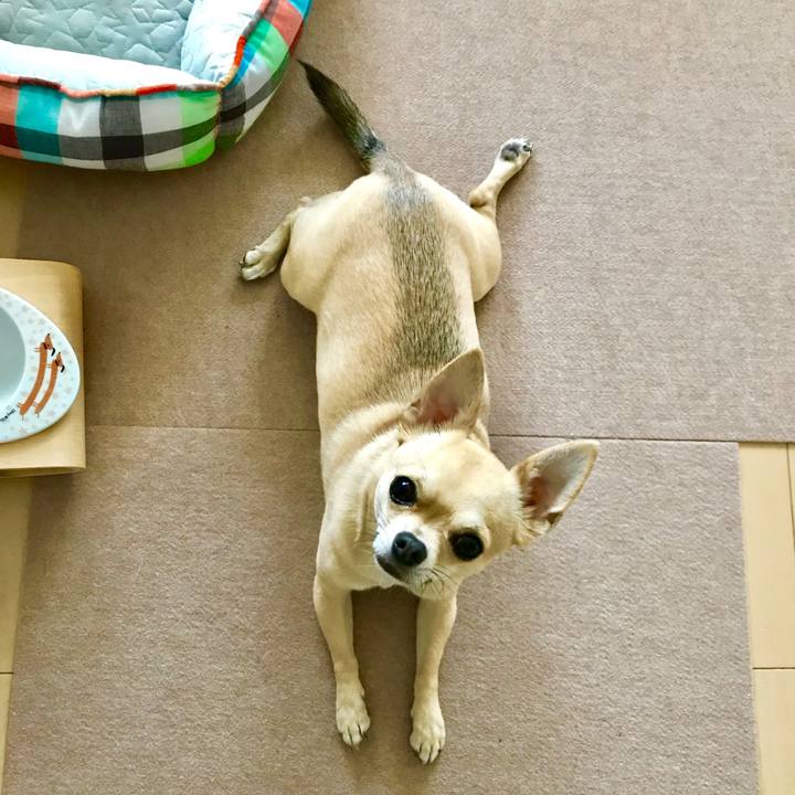 9e9f75da 4cf5 44f3 8f69 ba598b661a11 1527847329139