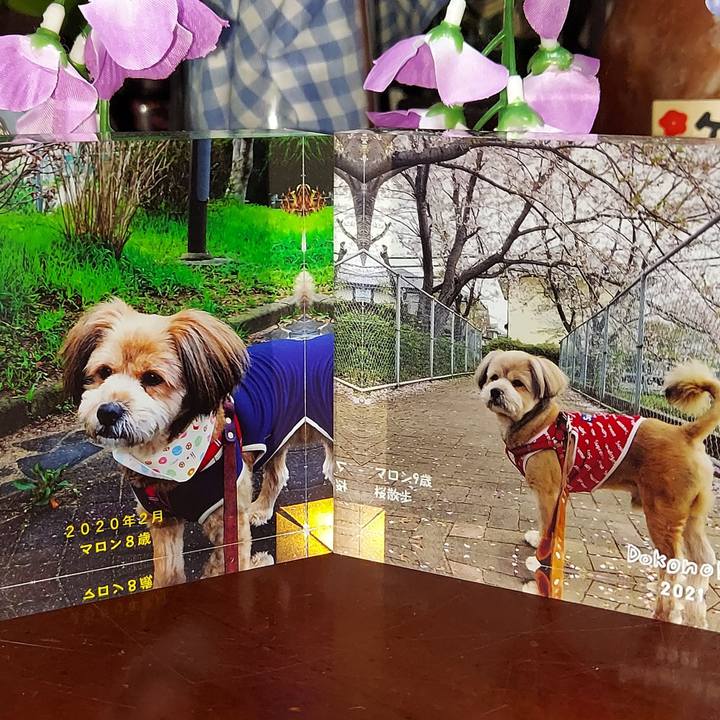 9e9f94fa 0a45 4bc7 9279 3f16bc819151 1621506077609