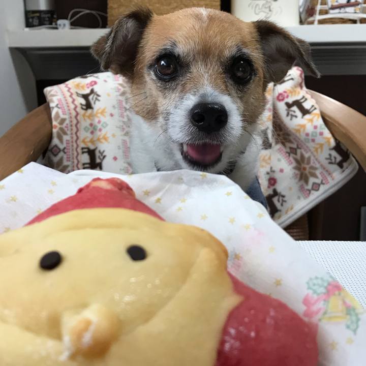 9e9fa44f e817 45f5 a944 3559cc70d365 1544155212237