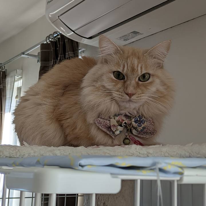 9e9fc6b3 72d0 4c3e a0e4 5f96e259a0e7 1767493439261