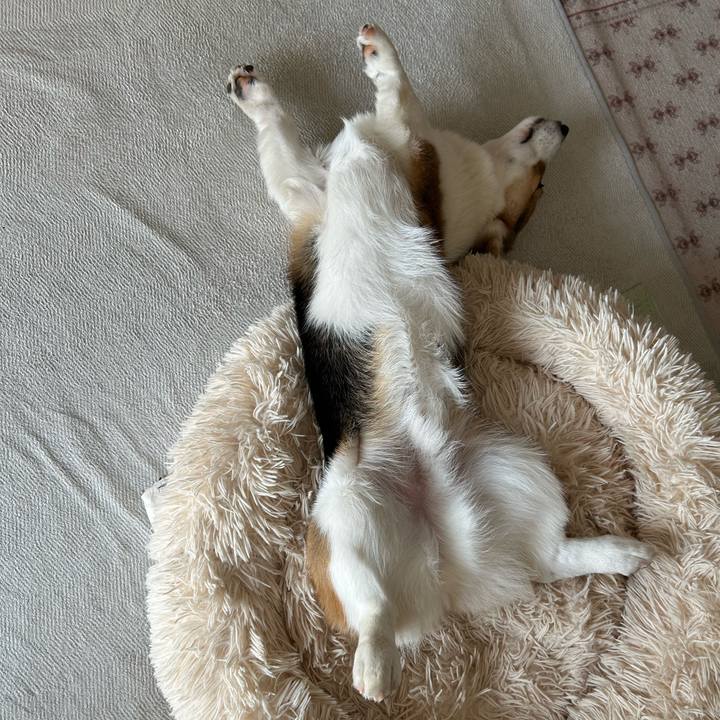 9e9fcf2d 29c3 40c5 9b9a e8b537f084f4 1770524309065